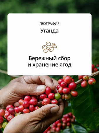 изображение Кофе в зернах DeLonghi BIANCO CREMA, 800гр 