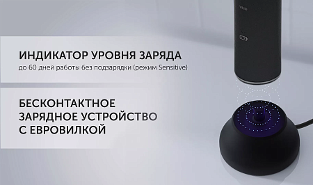 изображение Электрическая зубная щетка Polaris PETB 0701 TC, Графитовый 